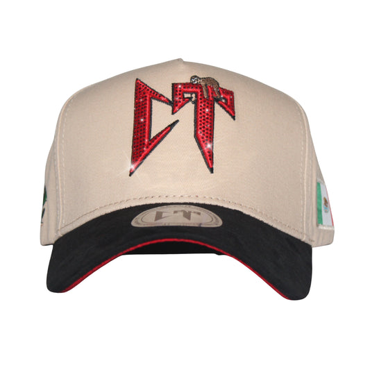 Gorra CT oficial - friends & family