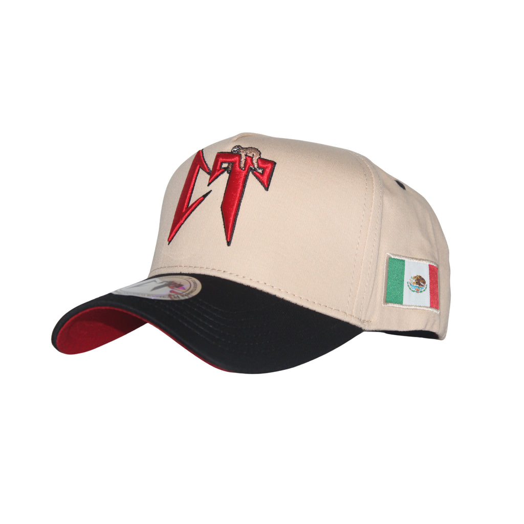 Gorra CT oficial